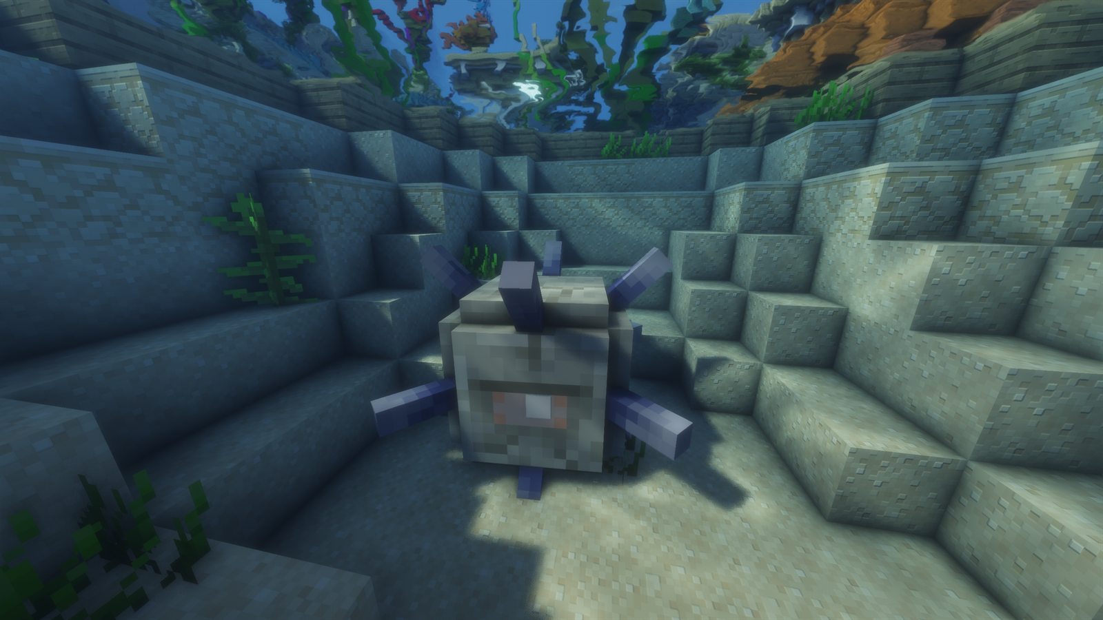 Big Fih underwater in Ocean
